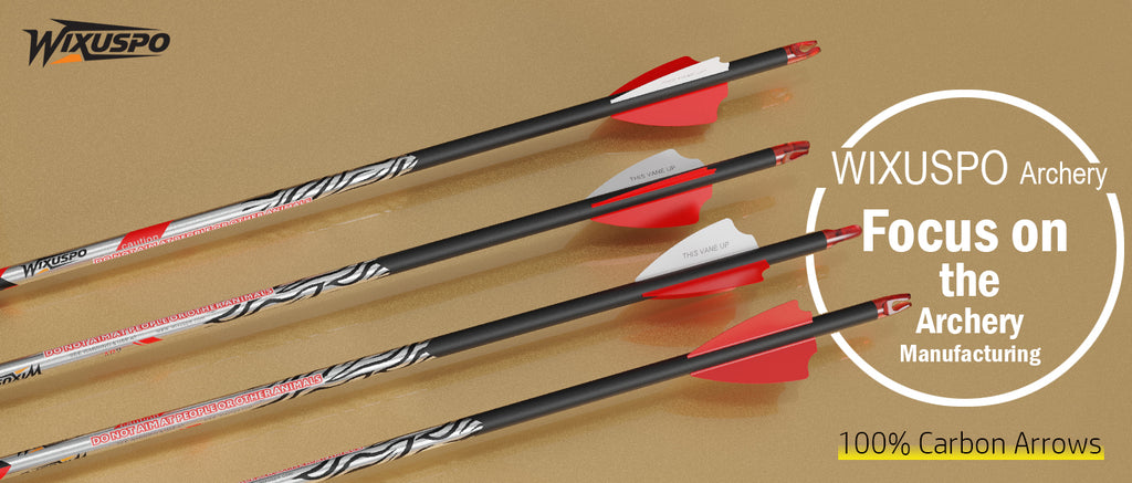 32" Pure Carbon Arrows Archery Practice Hunting Arrows with Shaft 400 350 300 Spine with Removable Tips for Compound & Recurve Bow and Longbow (Pack of 12)