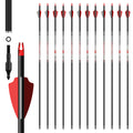 32" Pure Carbon Arrows Archery Practice Hunting Arrows with Shaft 400 350 300 Spine with Removable Tips for Compound & Recurve Bow and Longbow (Pack of 12)